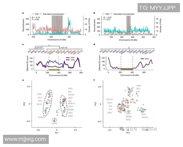 武汉飞盘队灵活性分析：数据揭示团队战术与运动员表现的深度关系