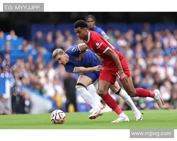 切尔西对阵诺维奇的精彩赛果分析与比赛亮点回顾