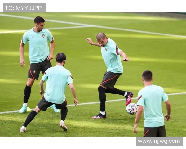 瑞士U19青年队迎战爱尔兰队争夺欧洲足球锦标赛资格